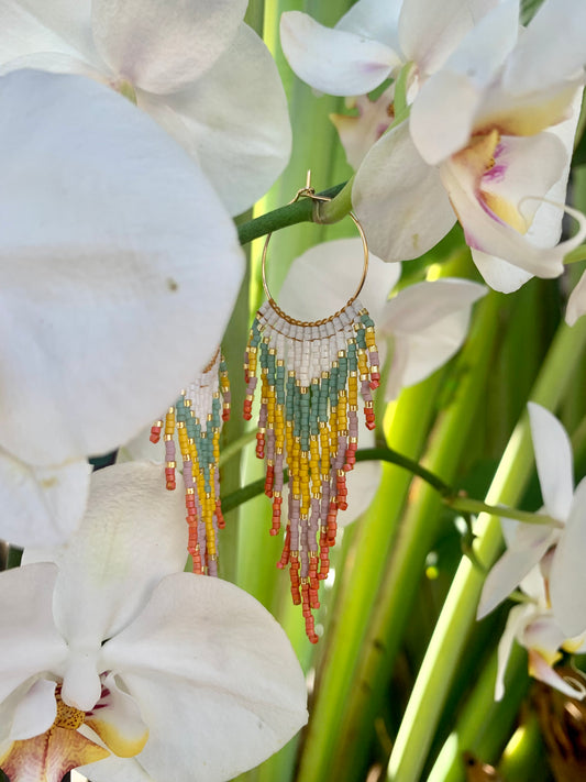 Orchid Summer Fringe