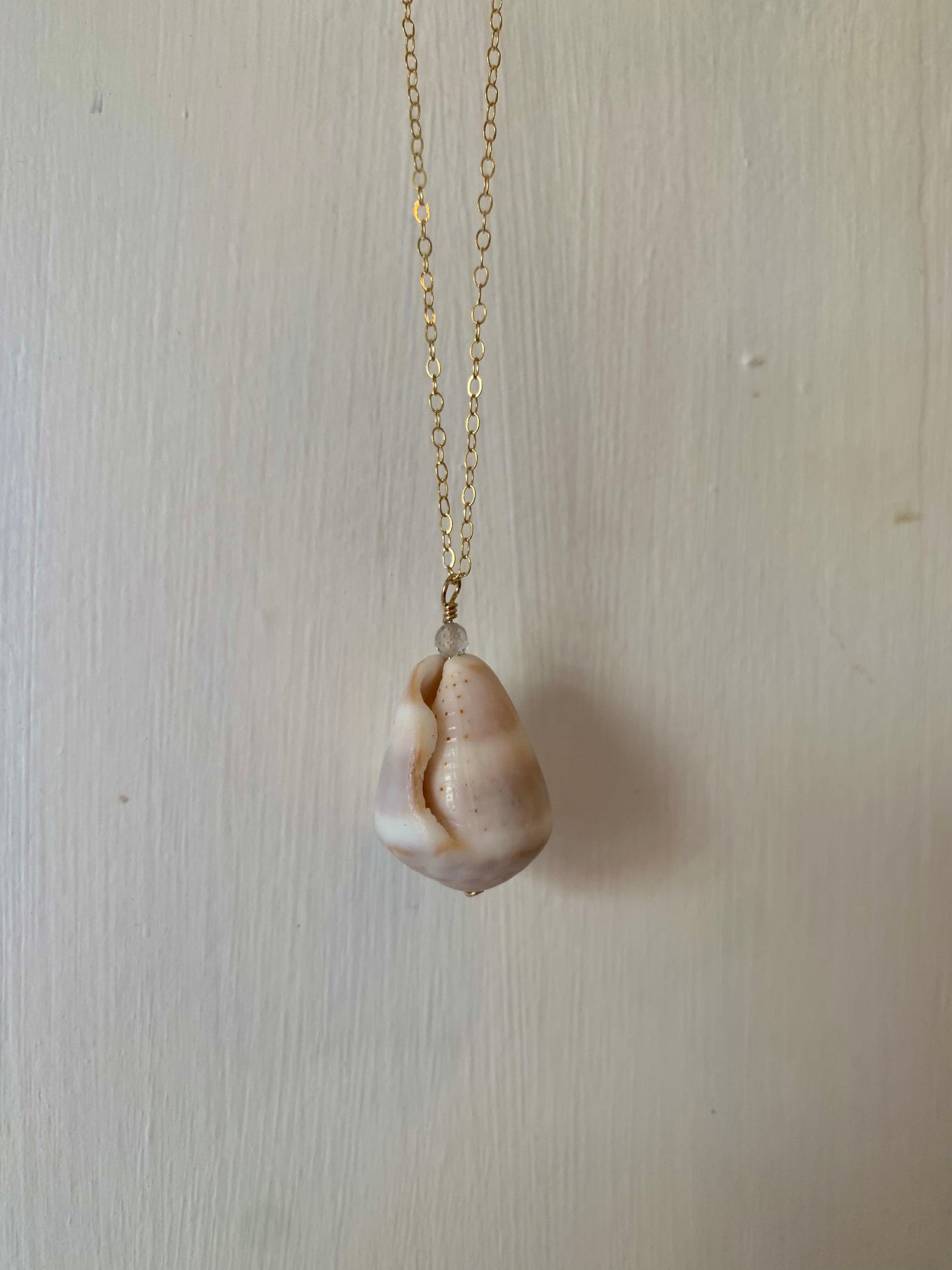 Labradorite Shell Necklace