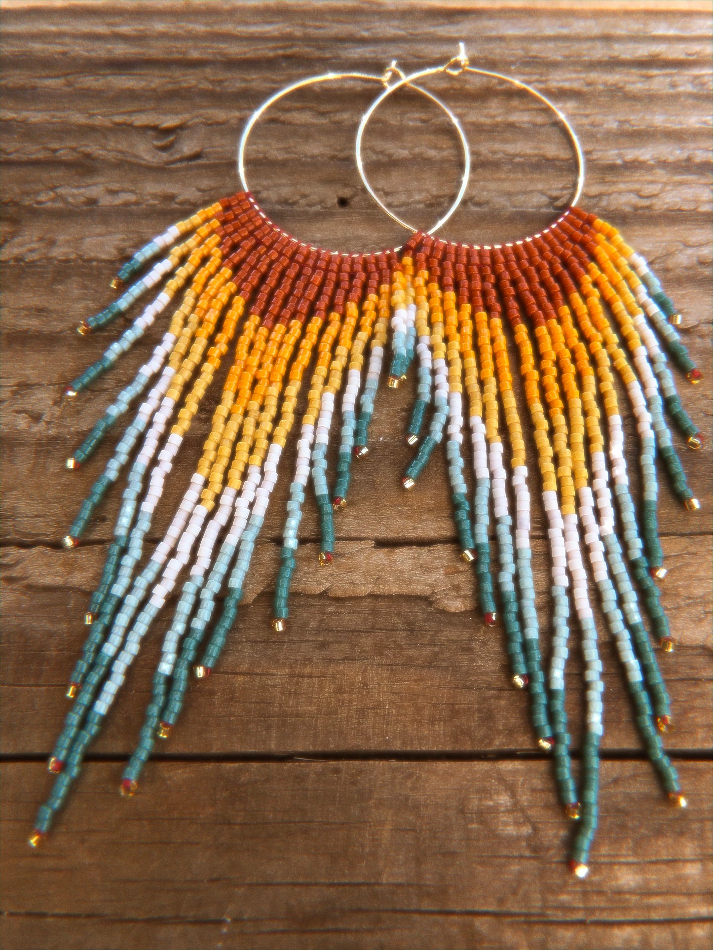 House of the Sun Fringe Earrings